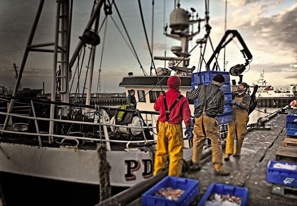 Images Whitelink Seafood Limited