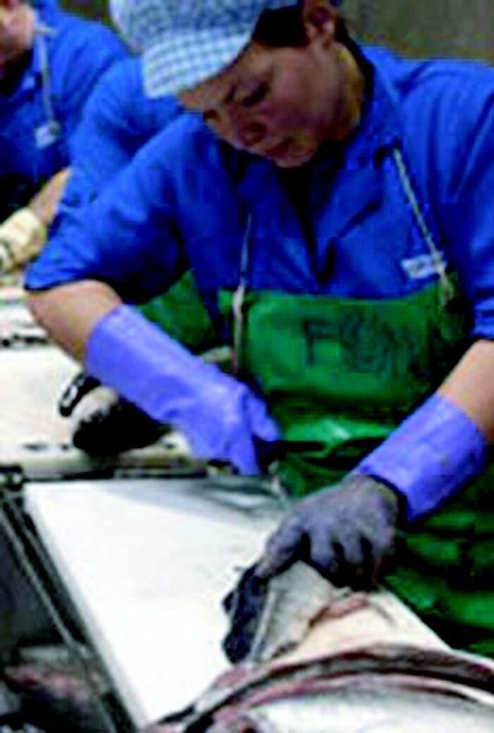 Images Whitelink Seafood Limited