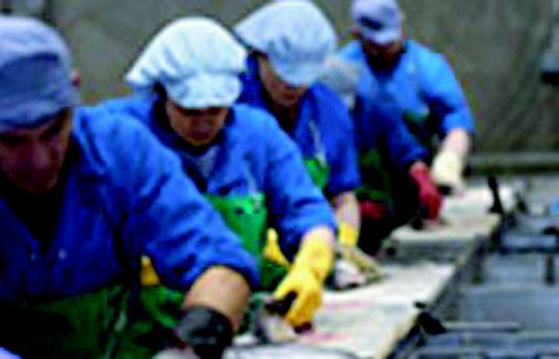 Images Whitelink Seafood Limited