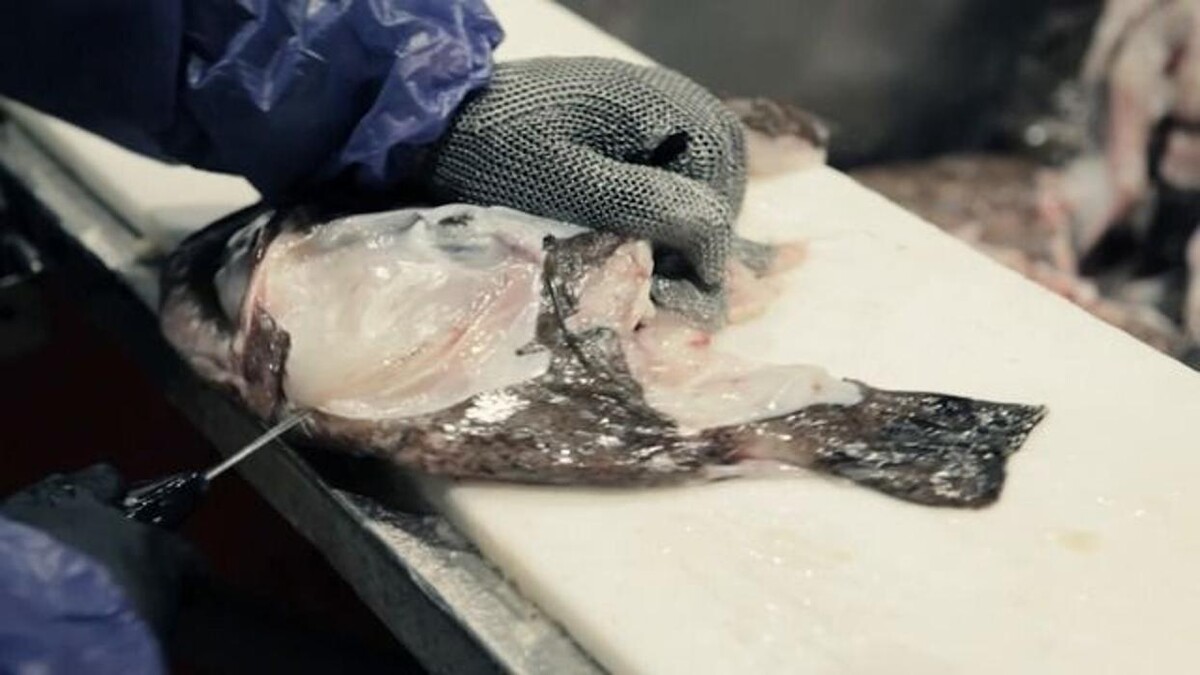 Images Whitelink Seafood Limited