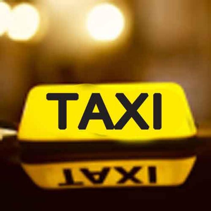 Taxi Service Bergara Logo