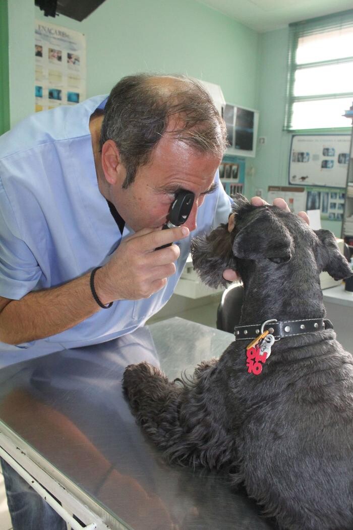 Images Argos Clínica Veterinaria