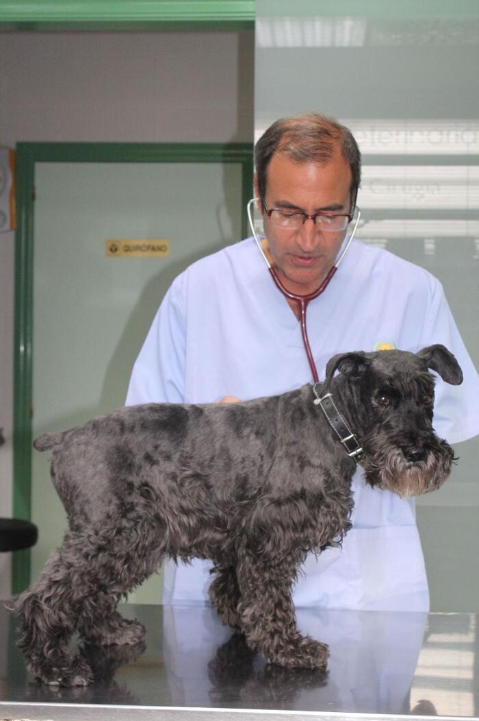 Images Argos Clínica Veterinaria