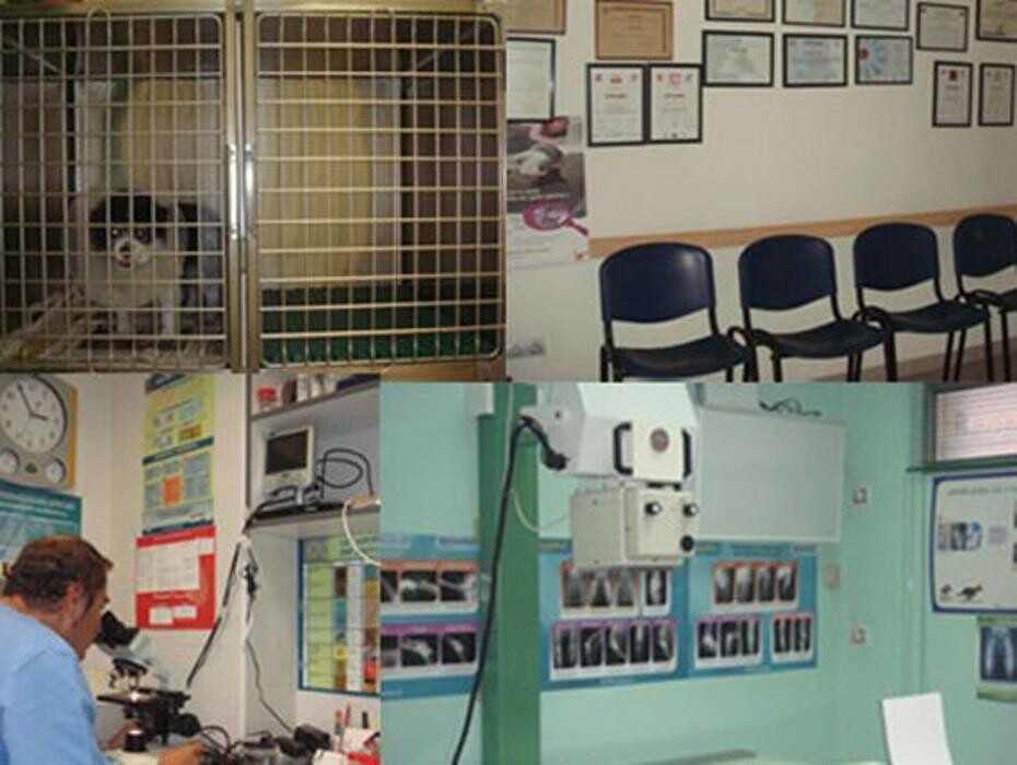 Images Argos Clínica Veterinaria