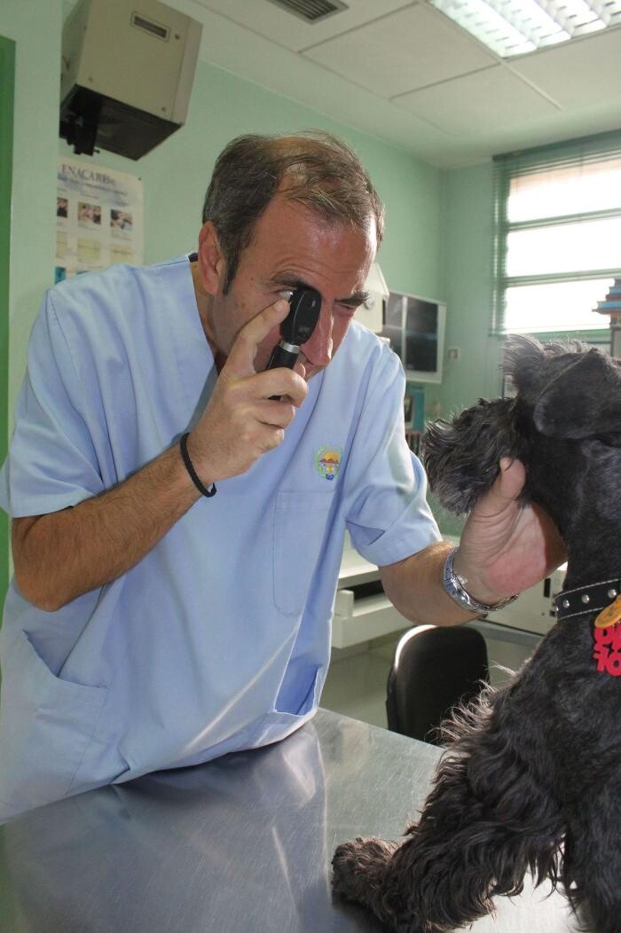 Images Argos Clínica Veterinaria