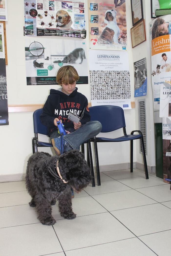 Images Argos Clínica Veterinaria