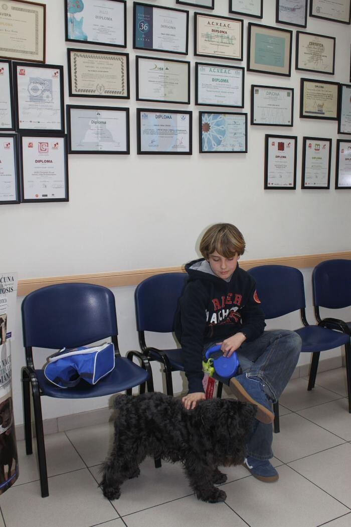 Images Argos Clínica Veterinaria