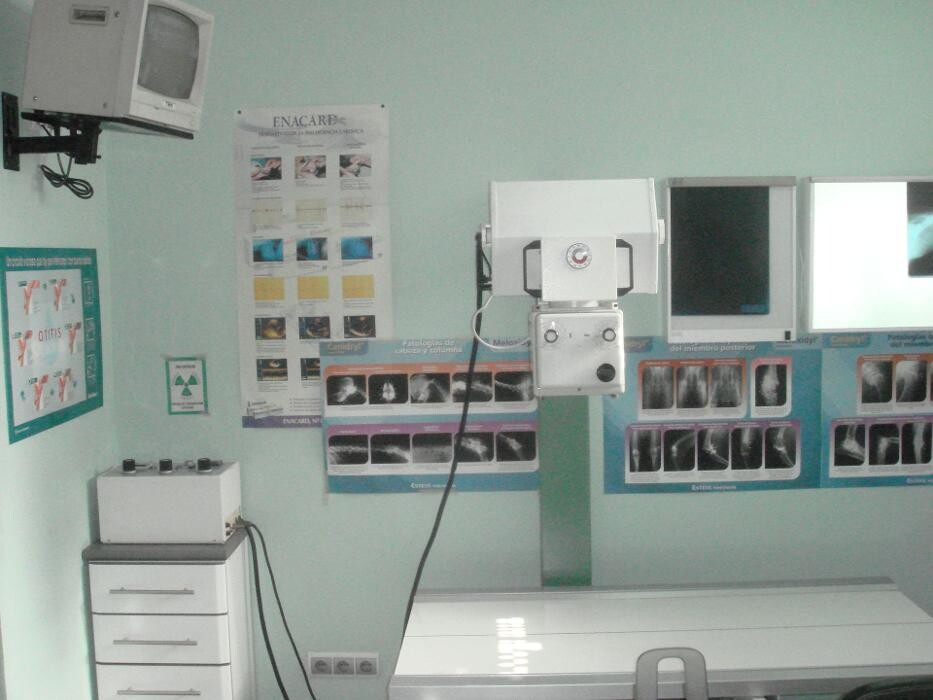 Images Argos Clínica Veterinaria