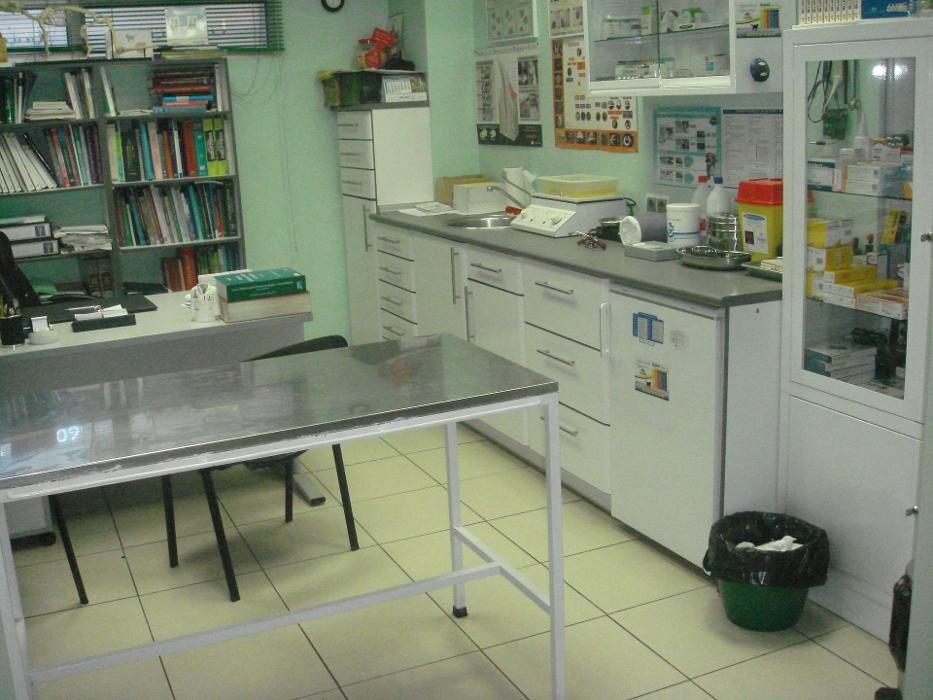 Images Argos Clínica Veterinaria