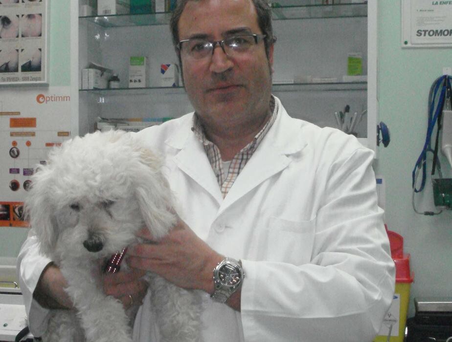 Images Argos Clínica Veterinaria