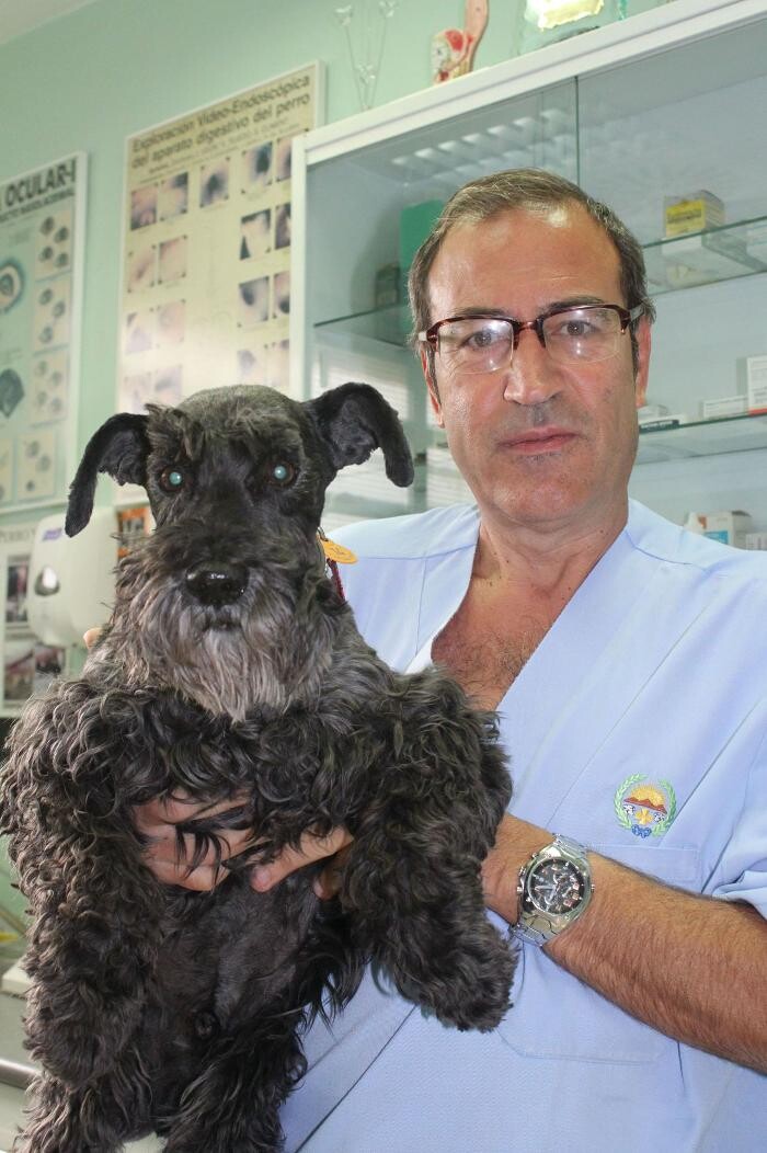 Images Argos Clínica Veterinaria