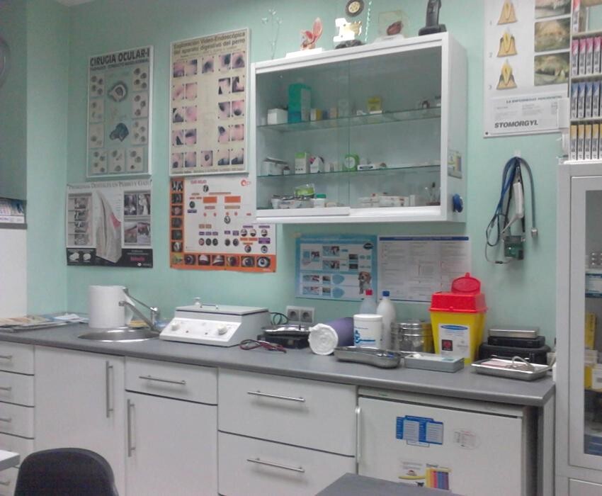 Images Argos Clínica Veterinaria