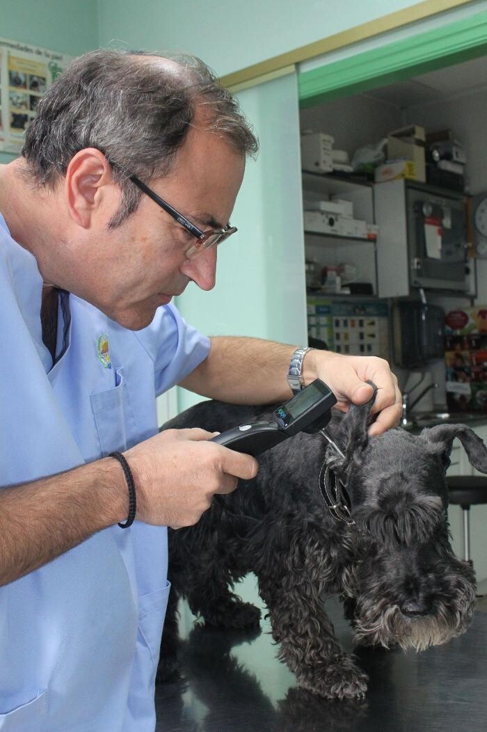 Images Argos Clínica Veterinaria