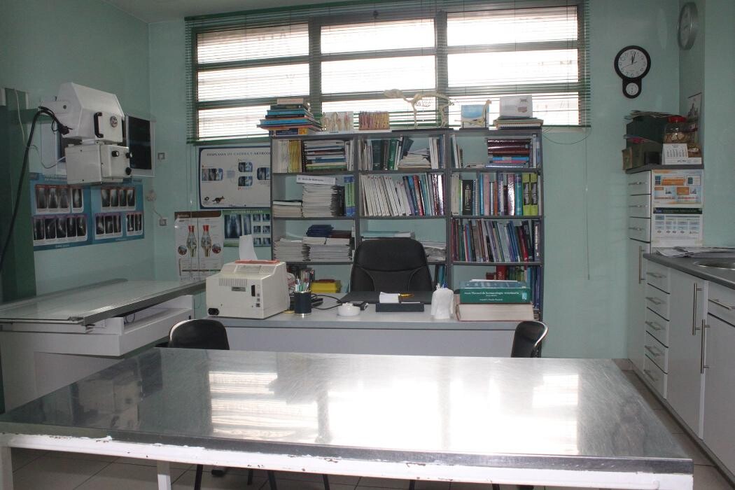Images Argos Clínica Veterinaria