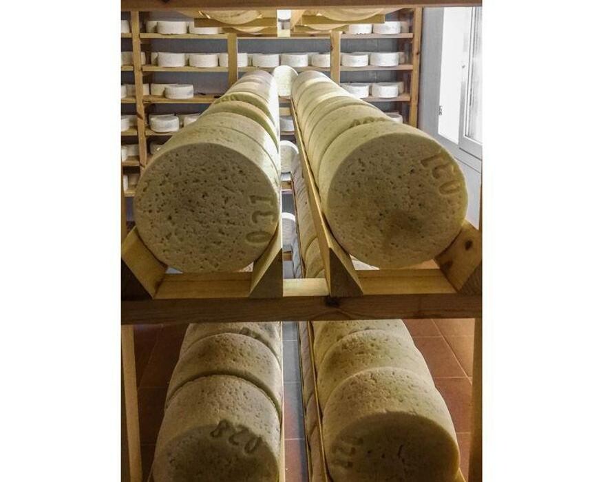 Images Quesería Francisco Bada C.B.