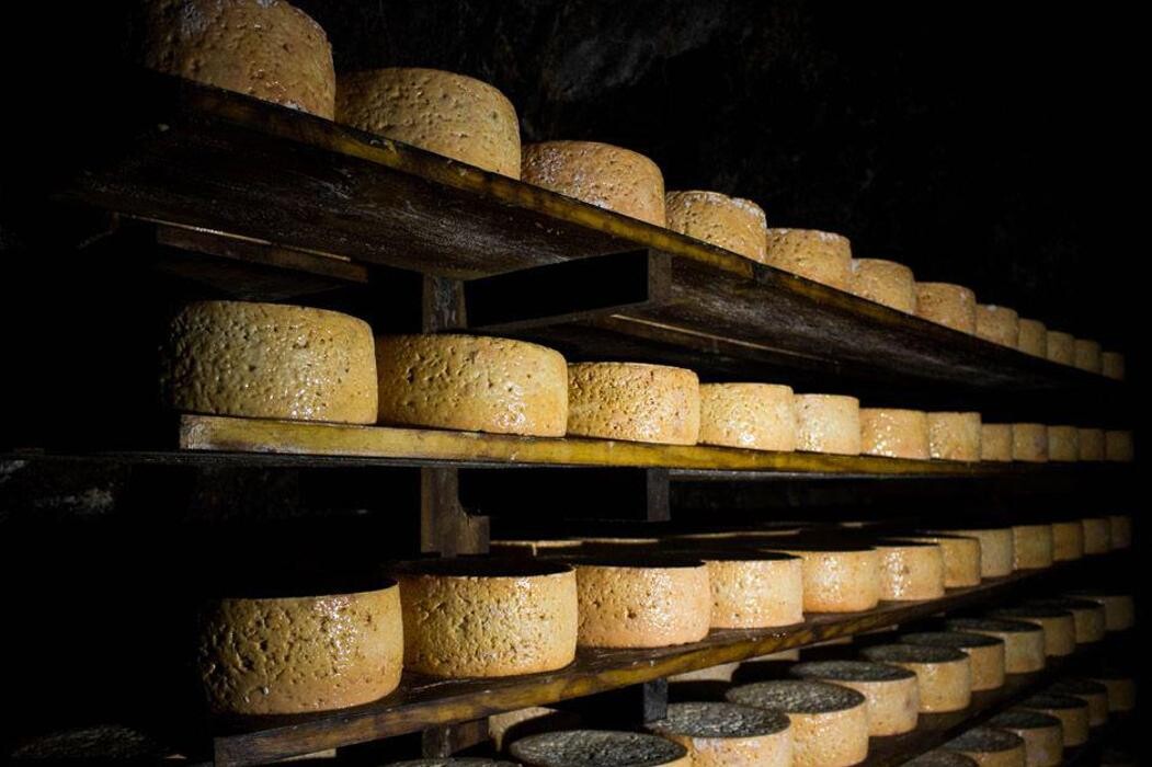 Images Quesería Francisco Bada C.B.