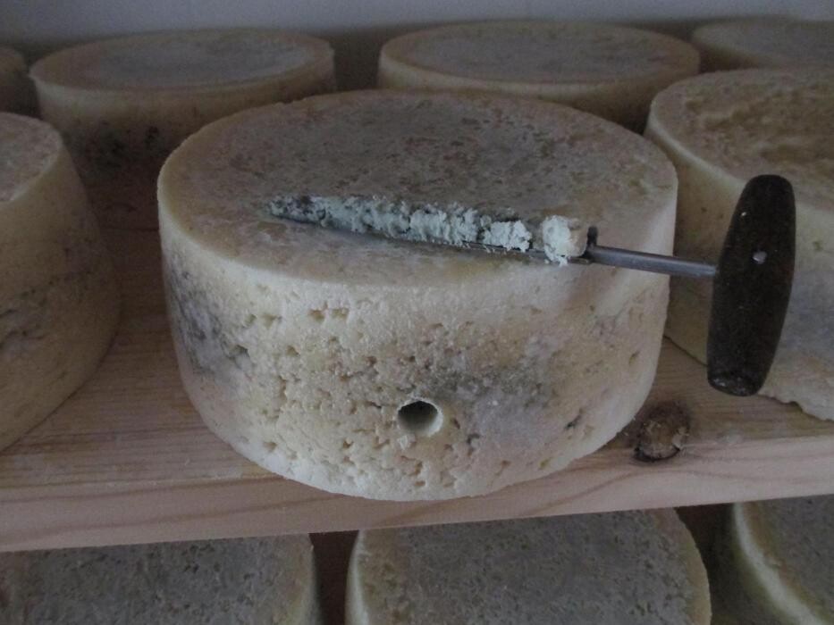 Images Quesería Francisco Bada C.B.