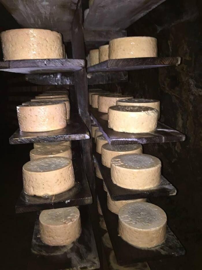 Images Quesería Francisco Bada C.B.