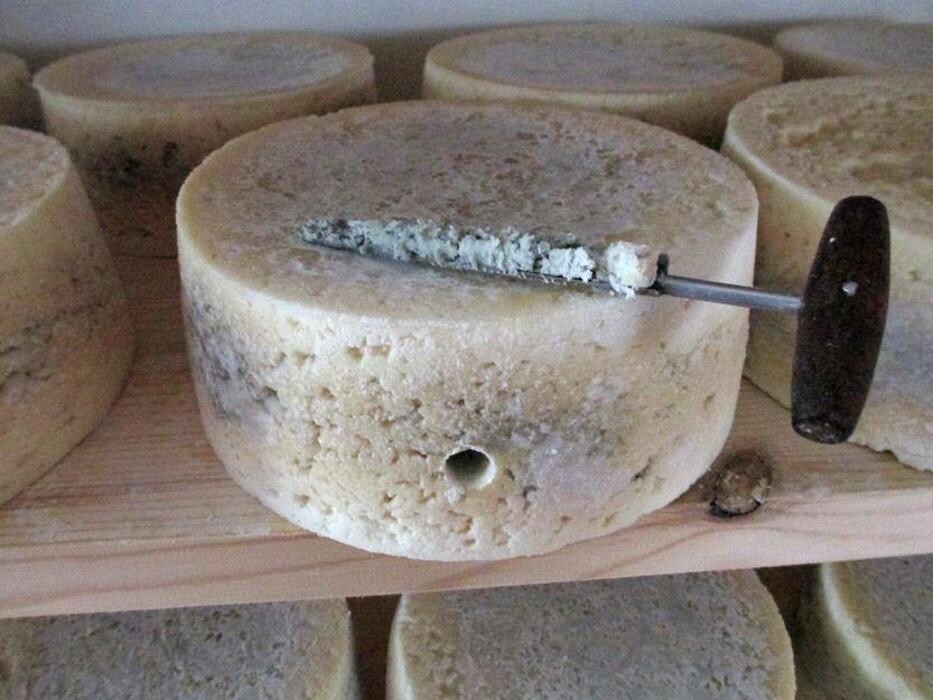 Images Quesería Francisco Bada C.B.