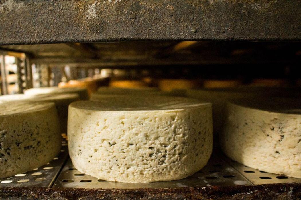 Images Quesería Francisco Bada C.B.