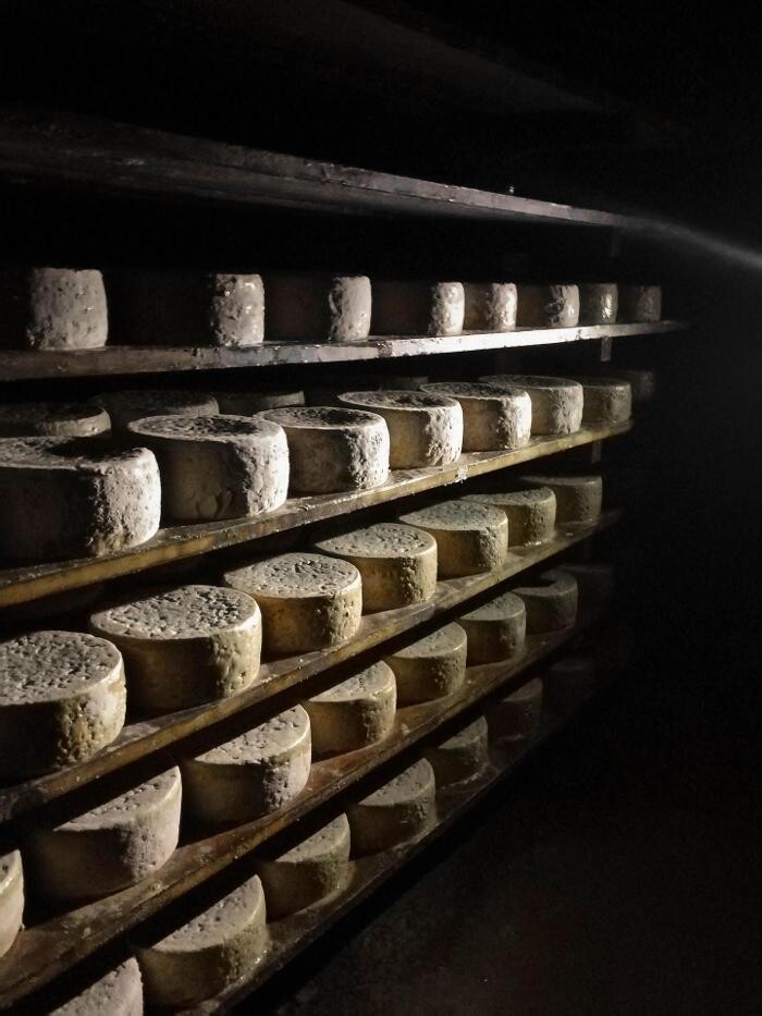 Images Quesería Francisco Bada C.B.