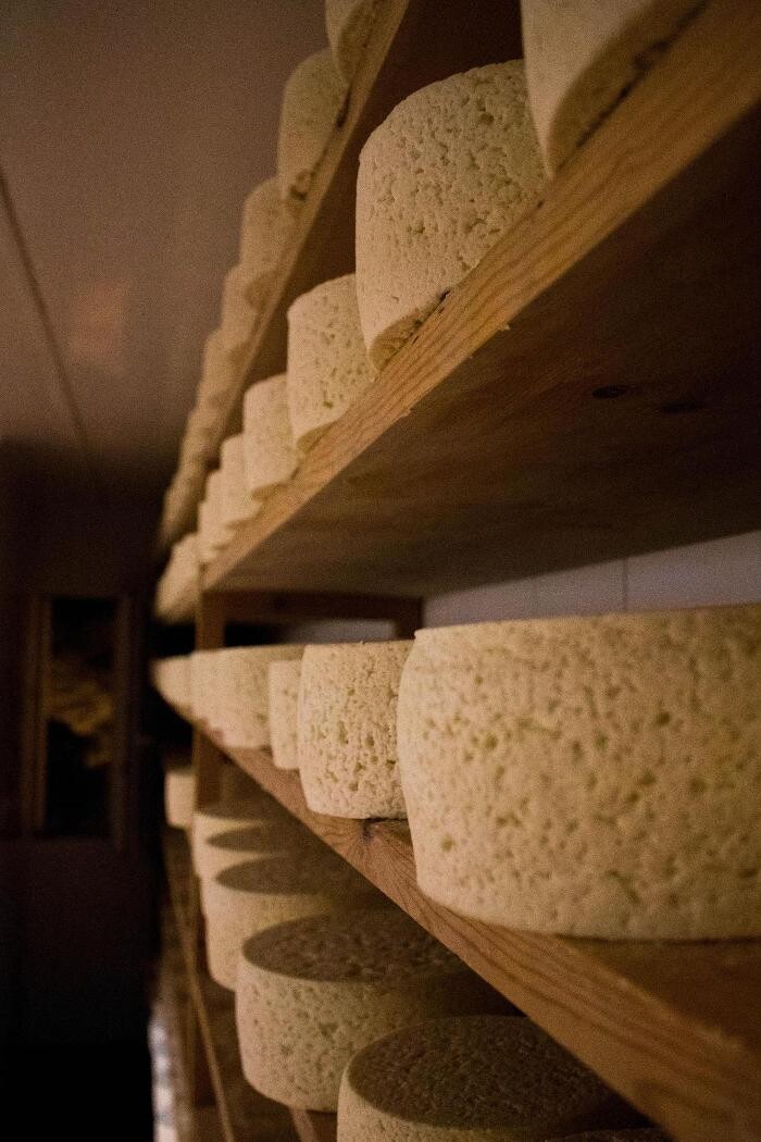 Images Quesería Francisco Bada C.B.