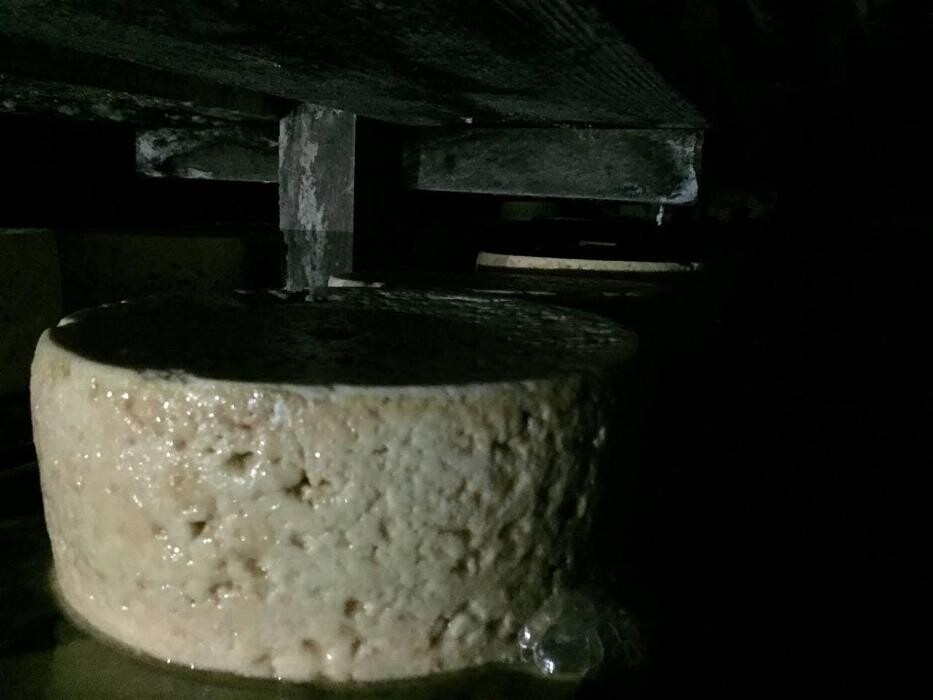 Images Quesería Francisco Bada C.B.