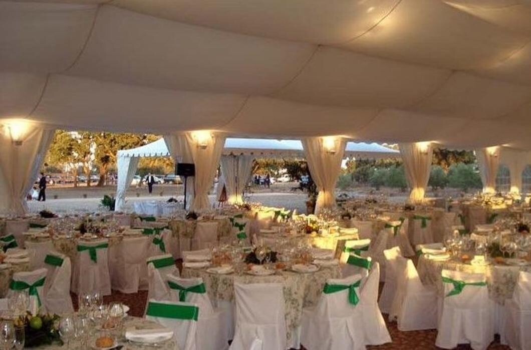 Images Carpas JM