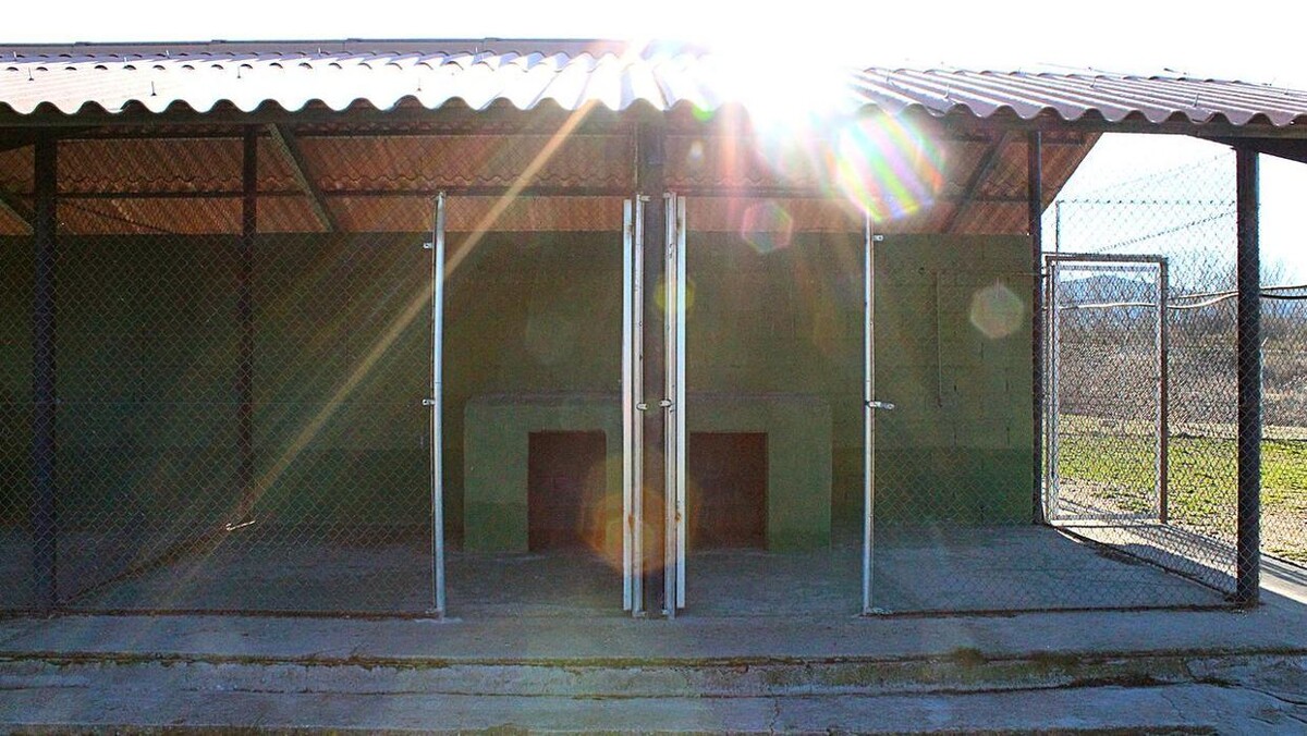 Images Residencia Canina San Bernardo