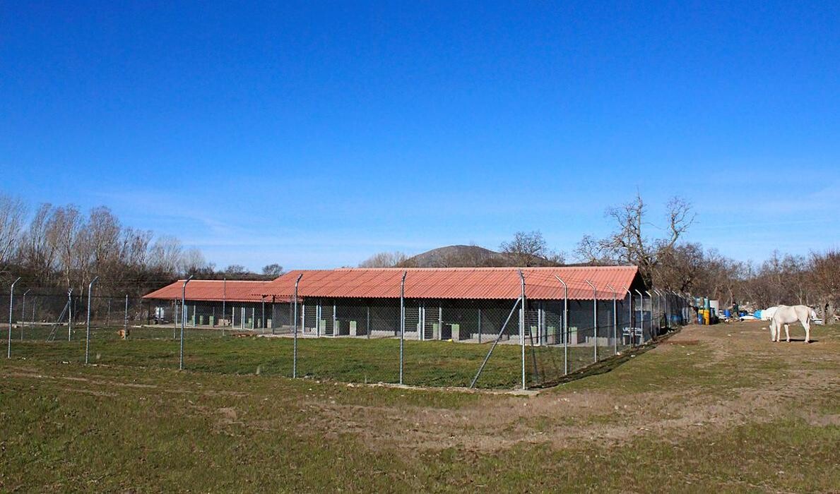 Images Residencia Canina San Bernardo