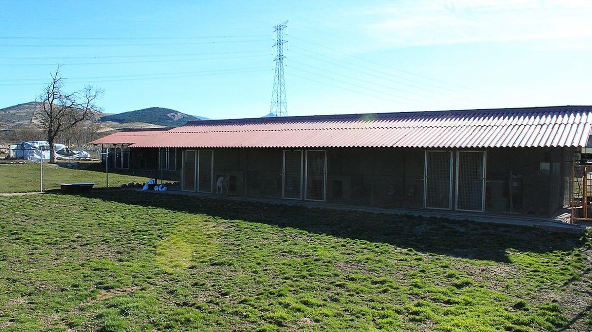 Images Residencia Canina San Bernardo