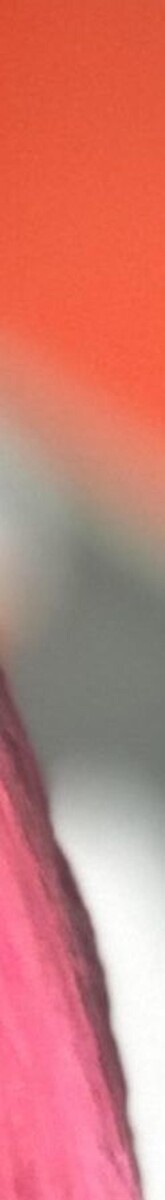 Images Jose Tobal Estilista