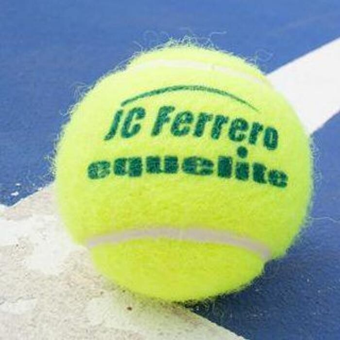 Images Juan Carlos Ferrero - Equelite Sport Academy