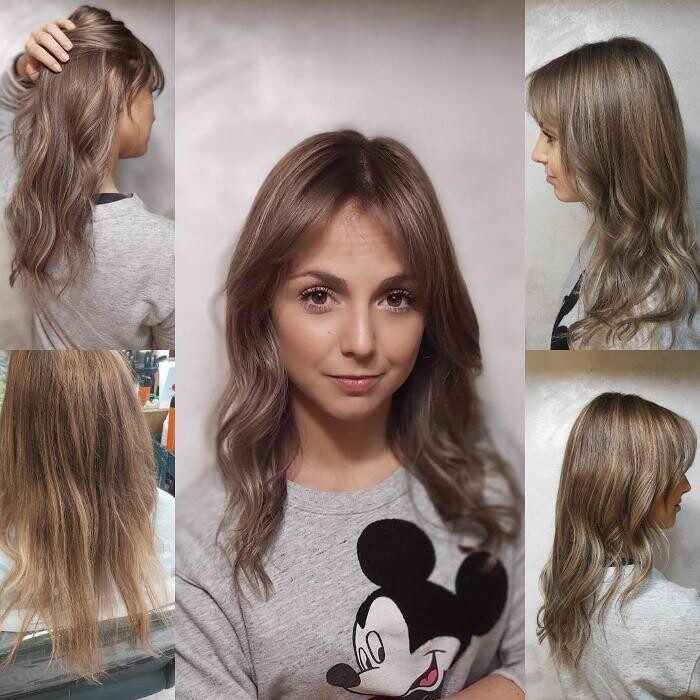 Images Haynes