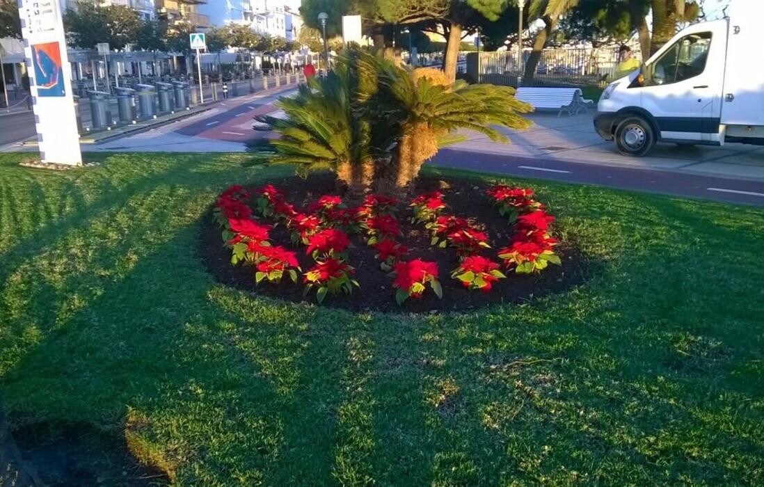 Images Jardinería Bordera