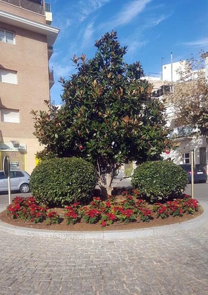 Images Jardinería Bordera
