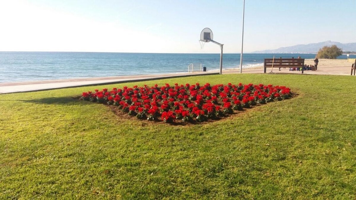 Images Jardinería Bordera