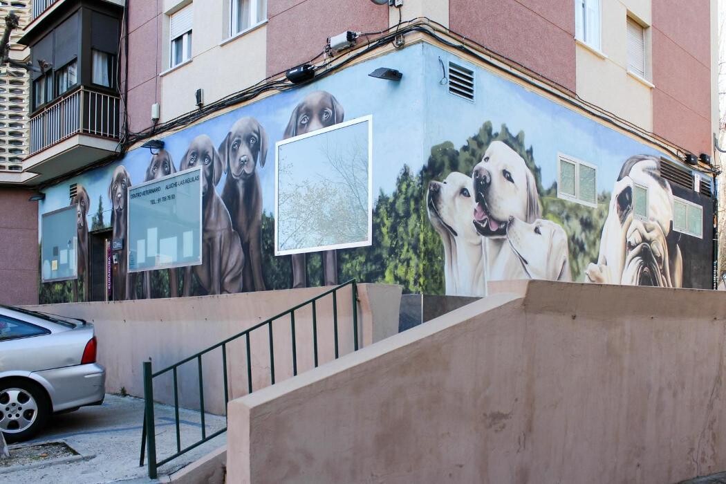 Images Centro Veterinario Aluche Las Águilas