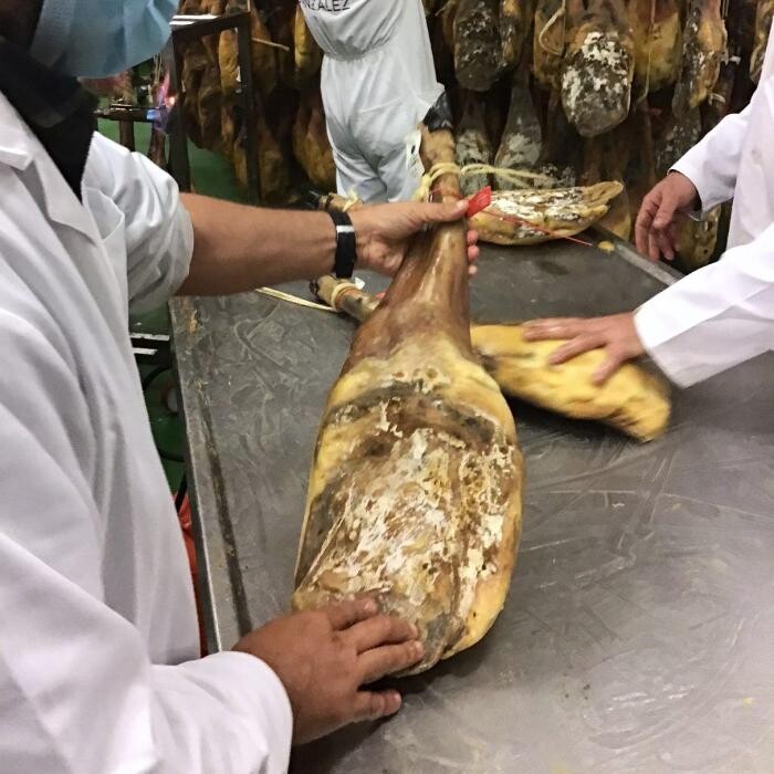 Images DEPATANEGRA IBÉRICOS