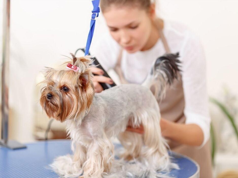 Images CEMAFE Formación