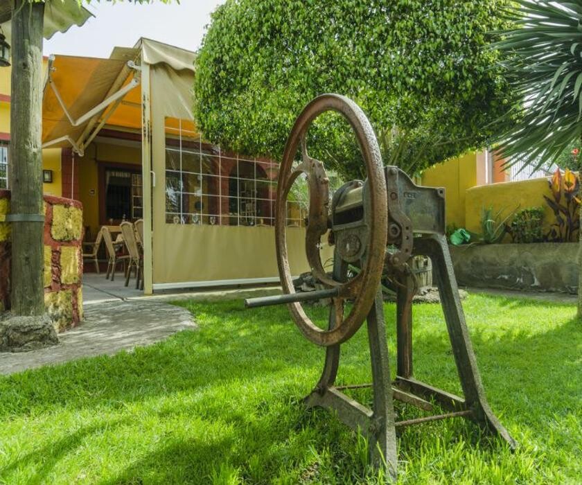 Images Restaurante La Champiñonera