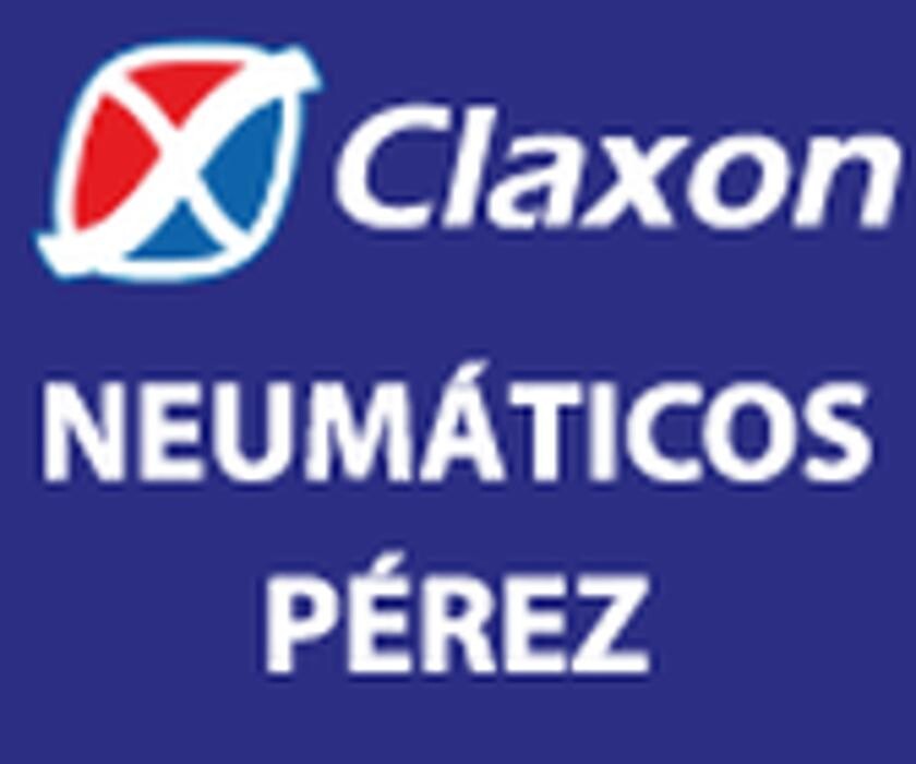 Neumáticos Pérez Logo