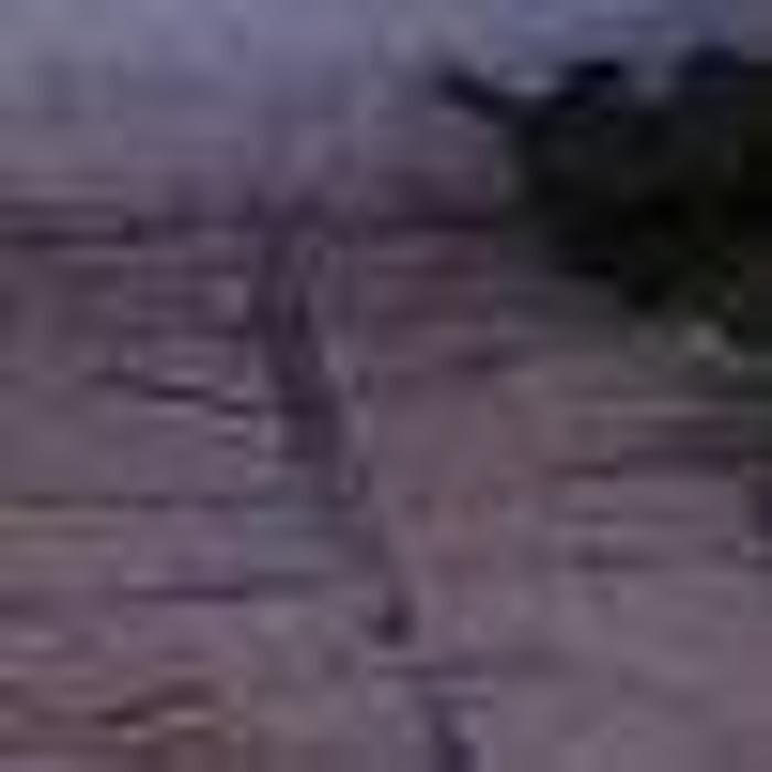 Images Lallana Pol