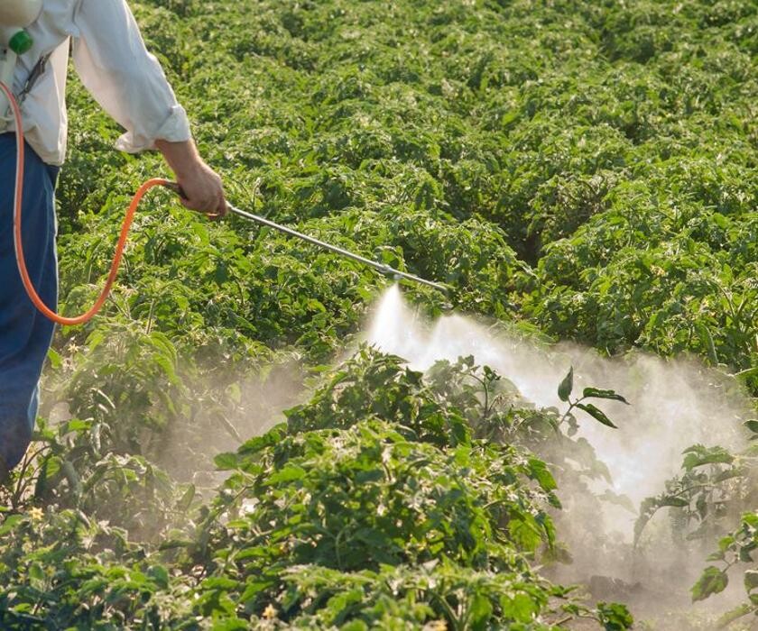 Images Agro-Ingeniería Guerrero