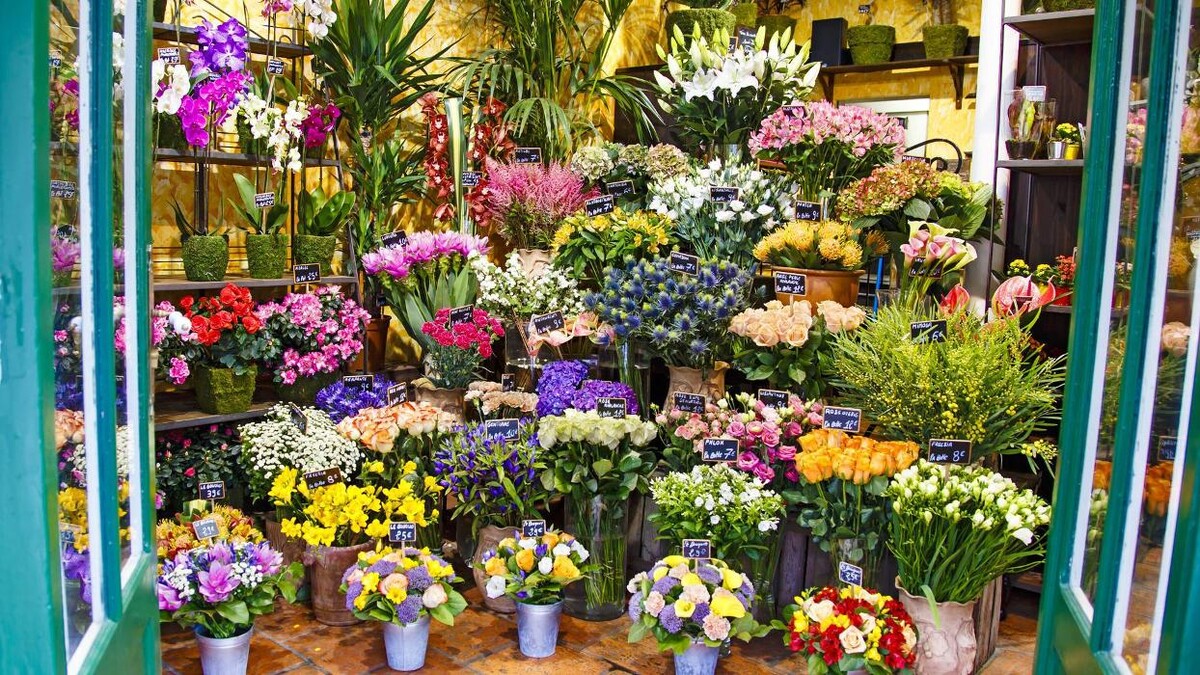 Images Floristería Miranda