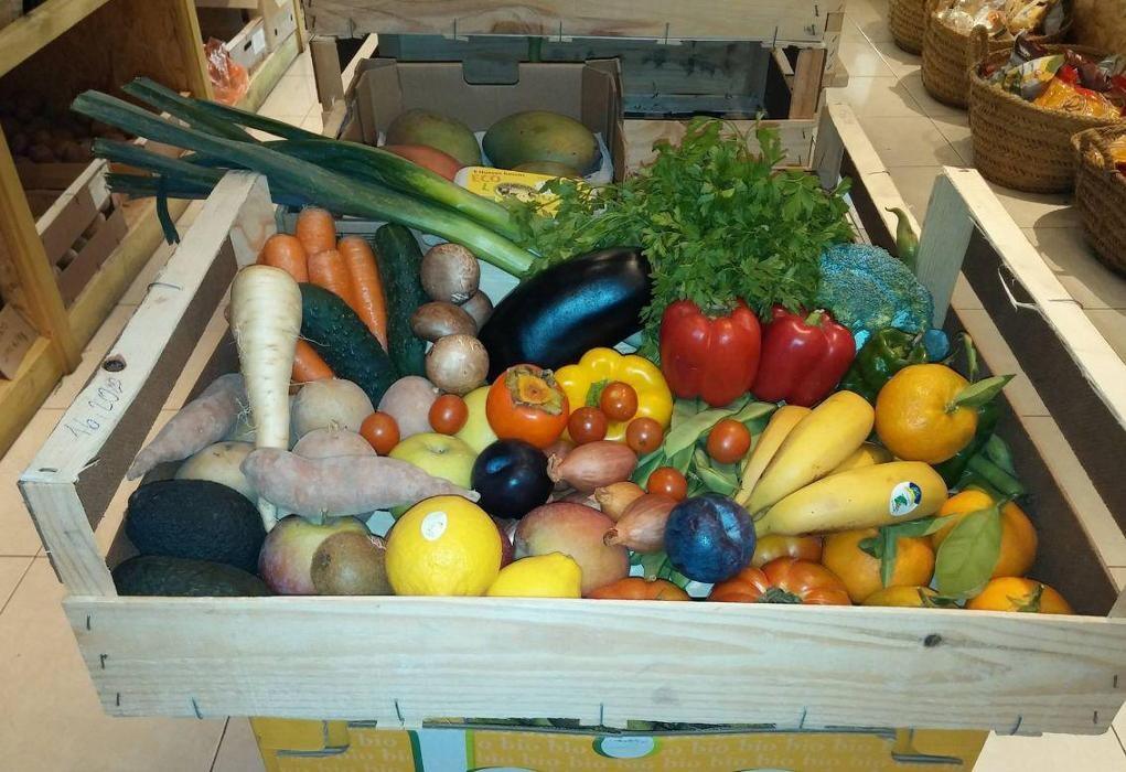 Images Biorganic Ibiza