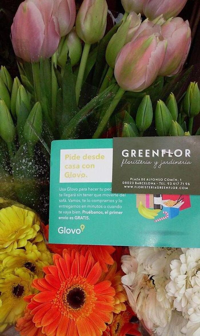 Images Greenflor