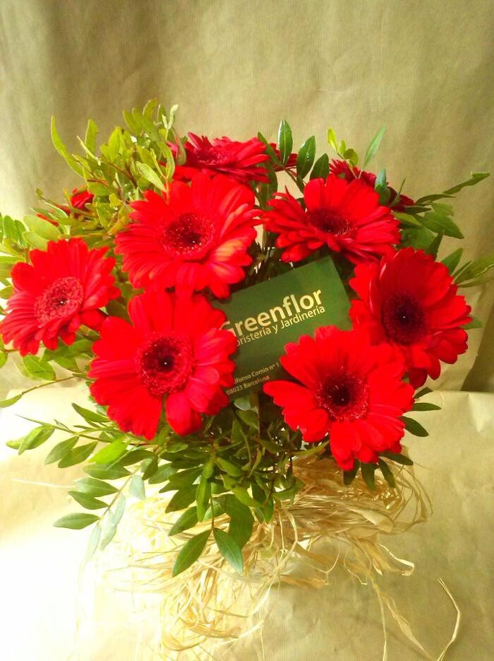 Images Greenflor