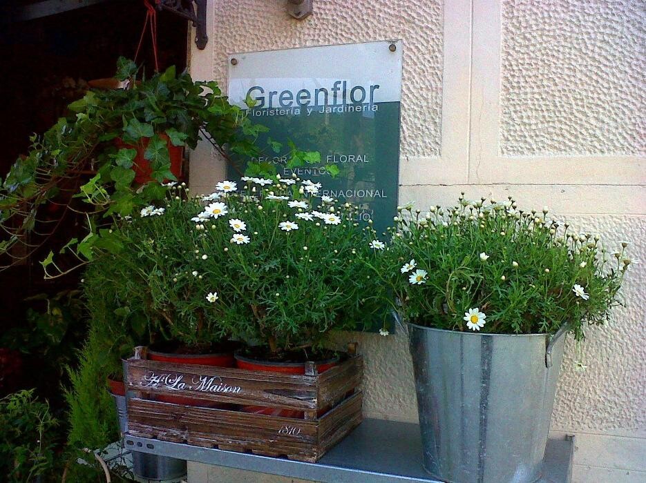 Images Greenflor