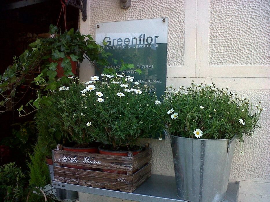 Images Greenflor